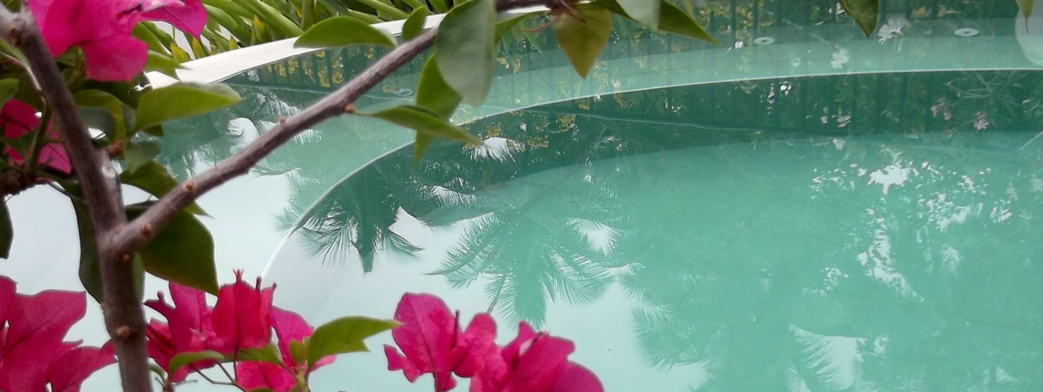 ss_flowers_pool